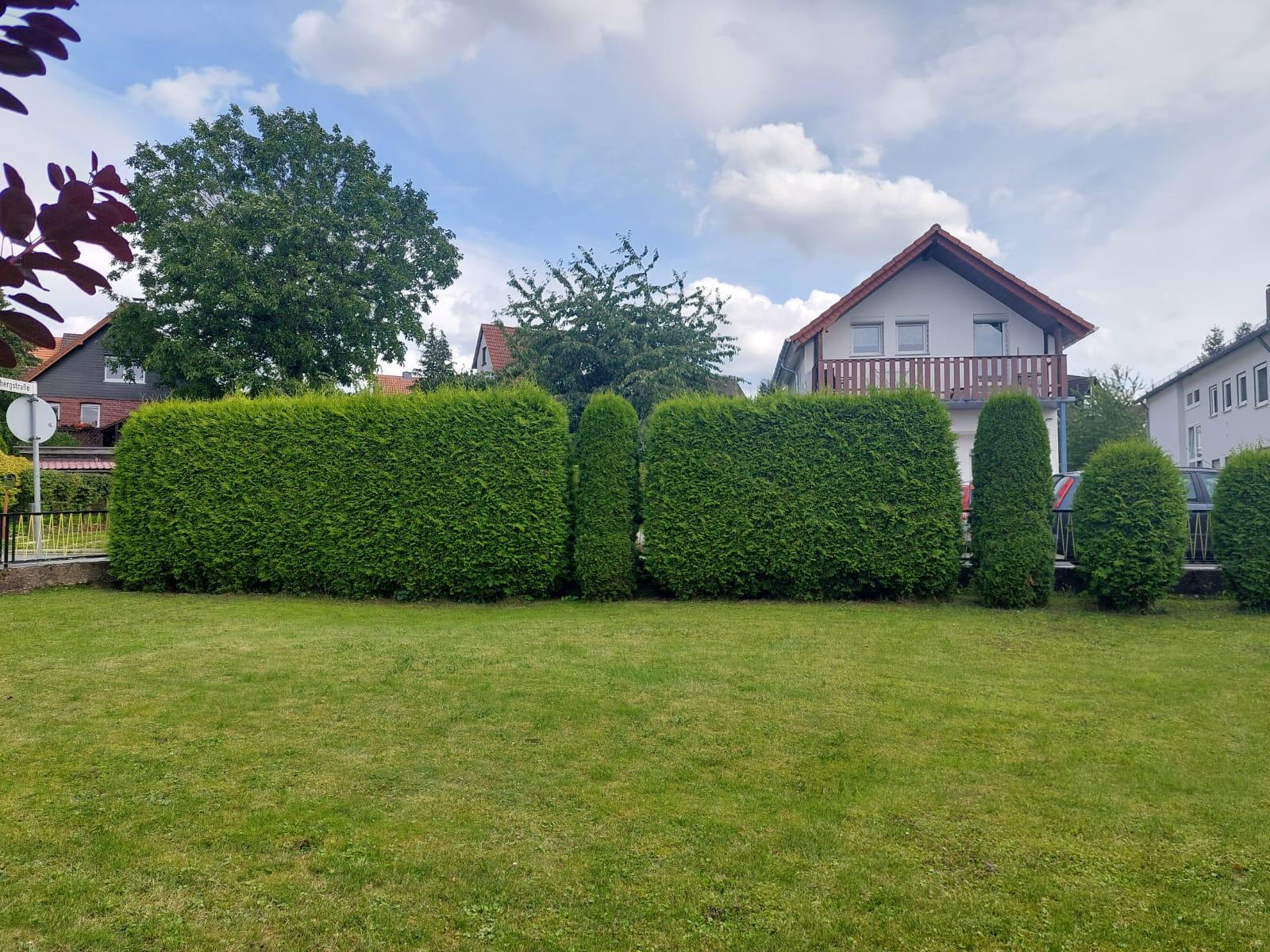 Frisch geschnittene Hecke vor einem Wohnhaus in Zierenberg mit gemähtem Rasen