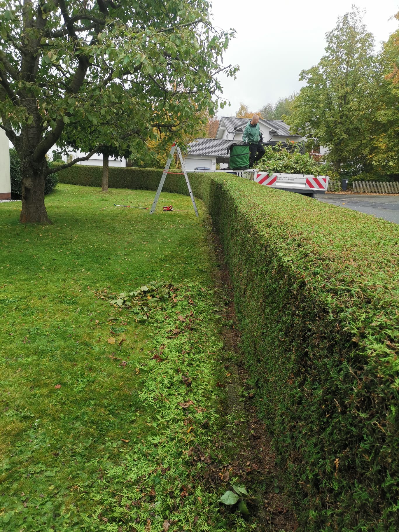 Geschnittene Hecke an der Grundstücksgrenze mit gemähtem Rasen