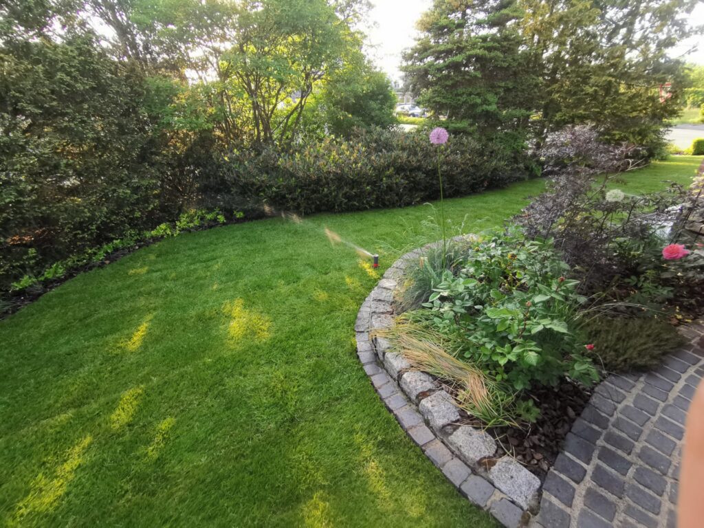 Gepflegter Rasen mit geschnittener Hecke und steingefasstem Staudenbeet